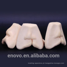 TOOTH15 (12588) Modelos de treinamento de sutura de lábio leporino